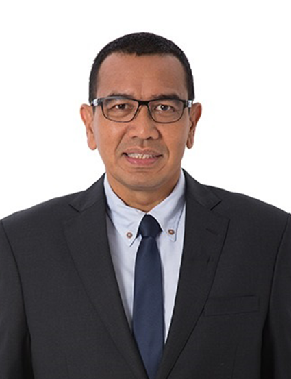 Arya Sinulingga